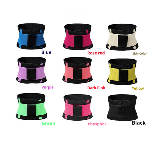 Fitness Sports Belt - EverActive Fitness