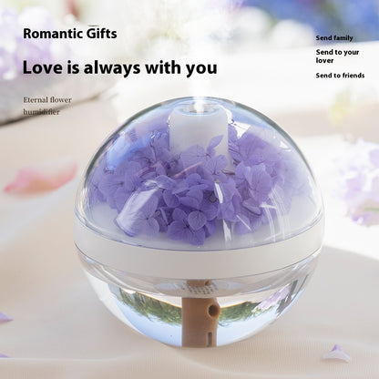 Bedroom Creative Mini Humidifier - EverActive Fitness