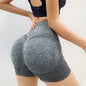 Seamless Fitness Shorts Pants - EverActive Fitness